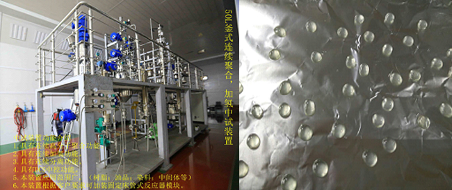 祝賀國內(nèi)首套釜式連續(xù)加氫中試成套裝置一次出料成功！.jpg